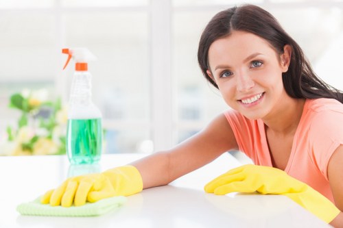 Domestic cleaning tools and a tidy living room setup