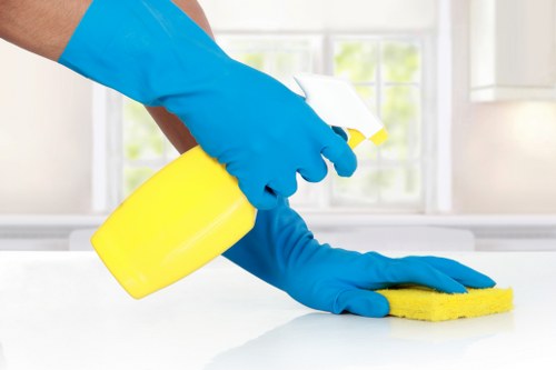 Professional upholstery cleaning in a bright living room