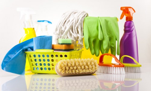 A bathroom being deep cleaned with professional-grade tools