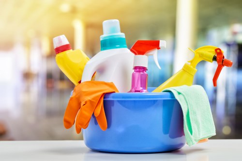 Household cleaning supplies arranged for daily chores