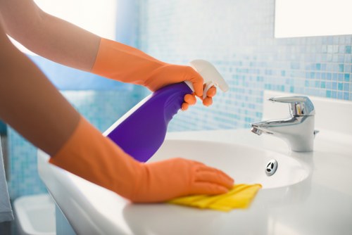 Eco-friendly domestic cleaning products and reusable cloths