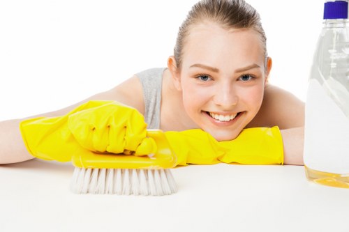 Bathroom descaling and sanitation for move out