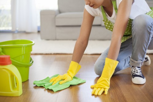 Cleaning supplies organized for efficient house cleaning tasks